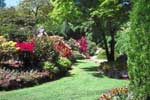 Home Landscape Design projects in Santa Ana, California