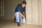 Aurora, Illinois Pest Control, Fumigation And Extermination Projects