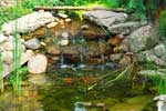 Garden Ponds And Water Garden projects in Dallas, Texas